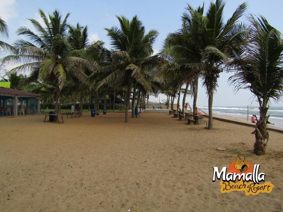 Mamalla Beach Resort Махабалипурам Екстериор снимка